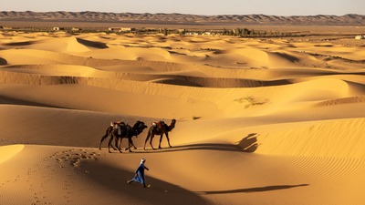 Sahra çölü nerede?