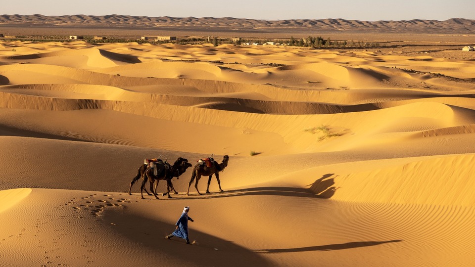 Sahra çölü nerede?