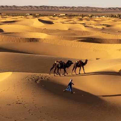 Sahra çölü nerede?