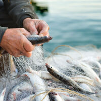 10 ayda 127 milyon lira ceza kesildi