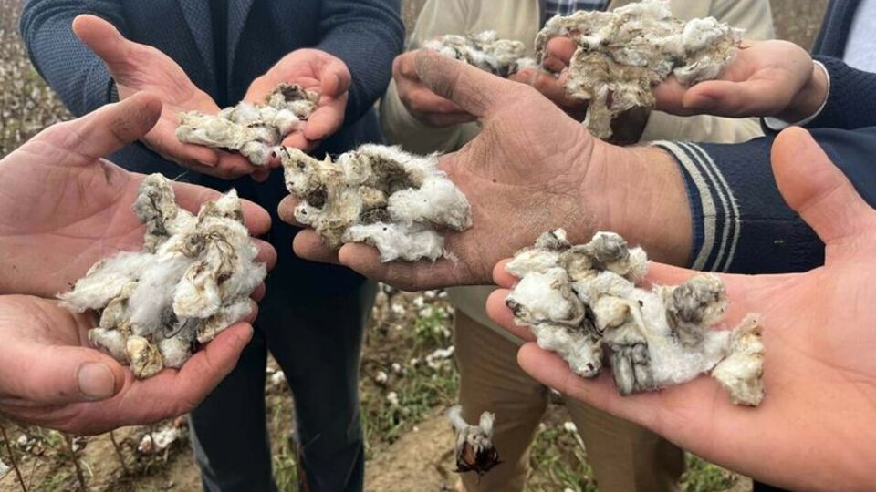 Ceviz büyüklüğünde dolu