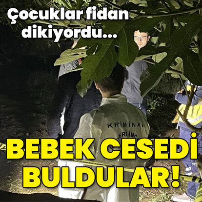 Çocuklar fidan dikerken bebek cesedi buldu!