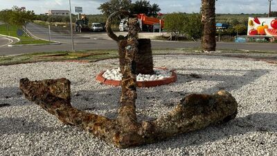 Çanakkale'de balıkçıların ağına takıldı