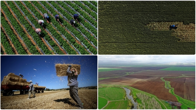 Tarla ürünleri ile meyve ve sebze üretiminin azalacağı tahmin ediliyor