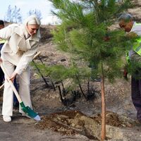 Yangın bölgesinde ilk fidanlar dikildi