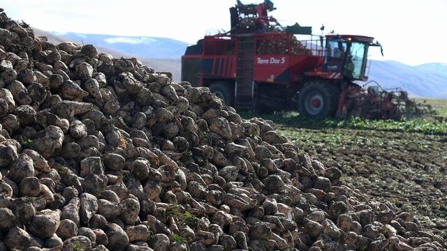 Erzurum'da ekim alanı yüzde 40 arttı