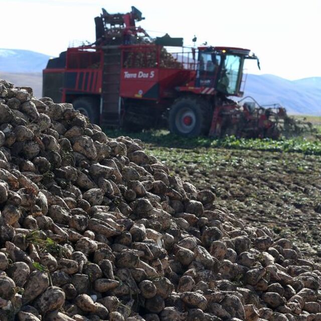 Erzurum'da ekim alanı yüzde 40 arttı