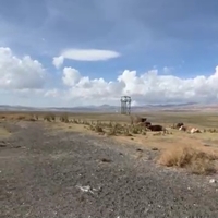 Erçek Gölü 30 yılda 6 kilometrekare kaybetti