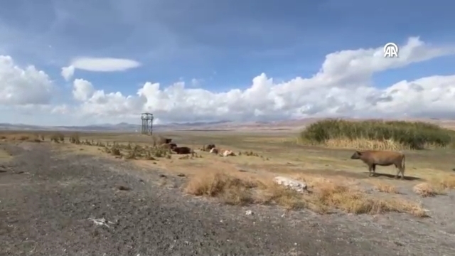 Erçek Gölü 30 yılda 6 kilometrekare kaybetti