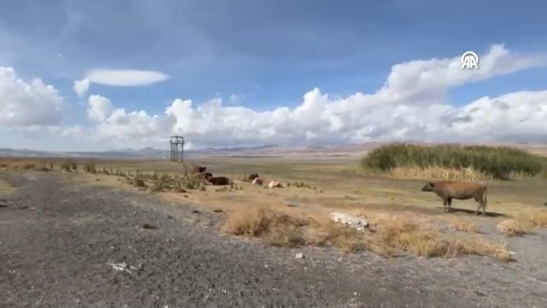 Erçek Gölü Alarm Veriyor: 30 Yılda 6 Km² Su Kaybı!