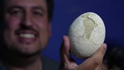 70 milyon yıllık dinozor yumurtası keşfedildi