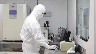 Nörolojik hastalıklarda kök hücre tedavisi standart değil, deneysel aşamada