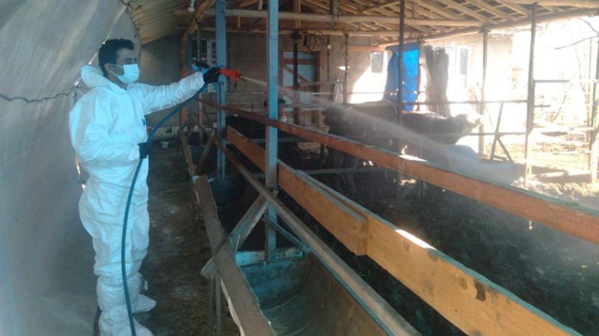 Isparta'da bazı köylerde karantina | Son dakika haberleri