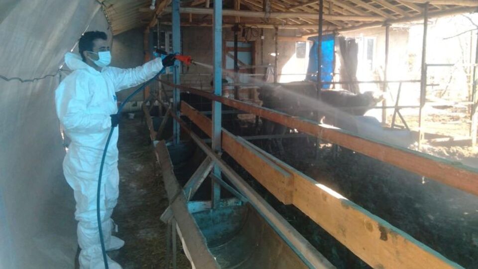 Isparta'da bazı köylerde karantina