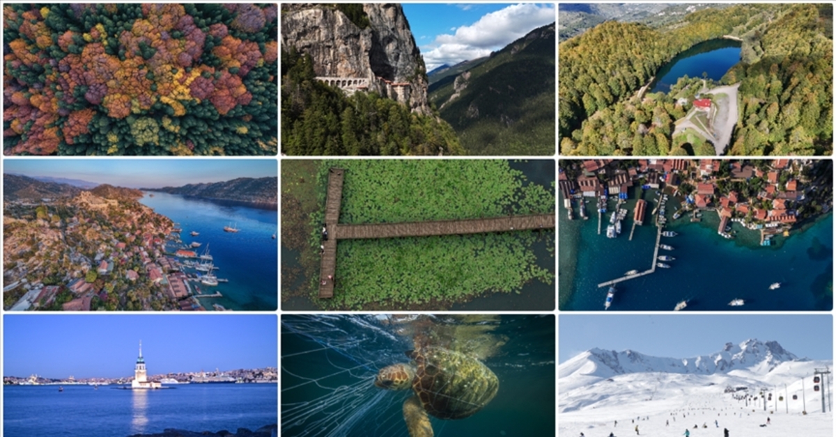 Salık KanTora - Gerçek Tektir