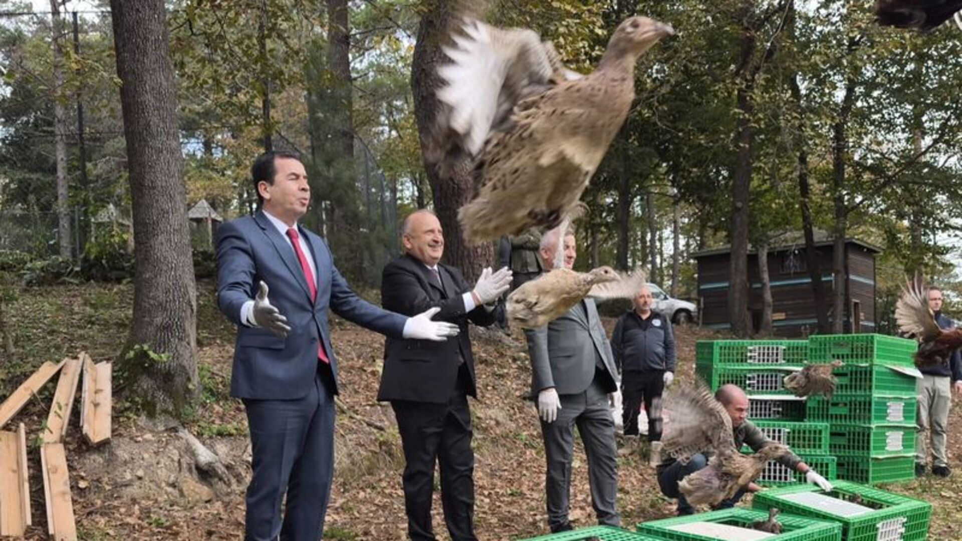 Ünye'de kahverengi kokarcaya karşı sülün | Son dakika haberleri