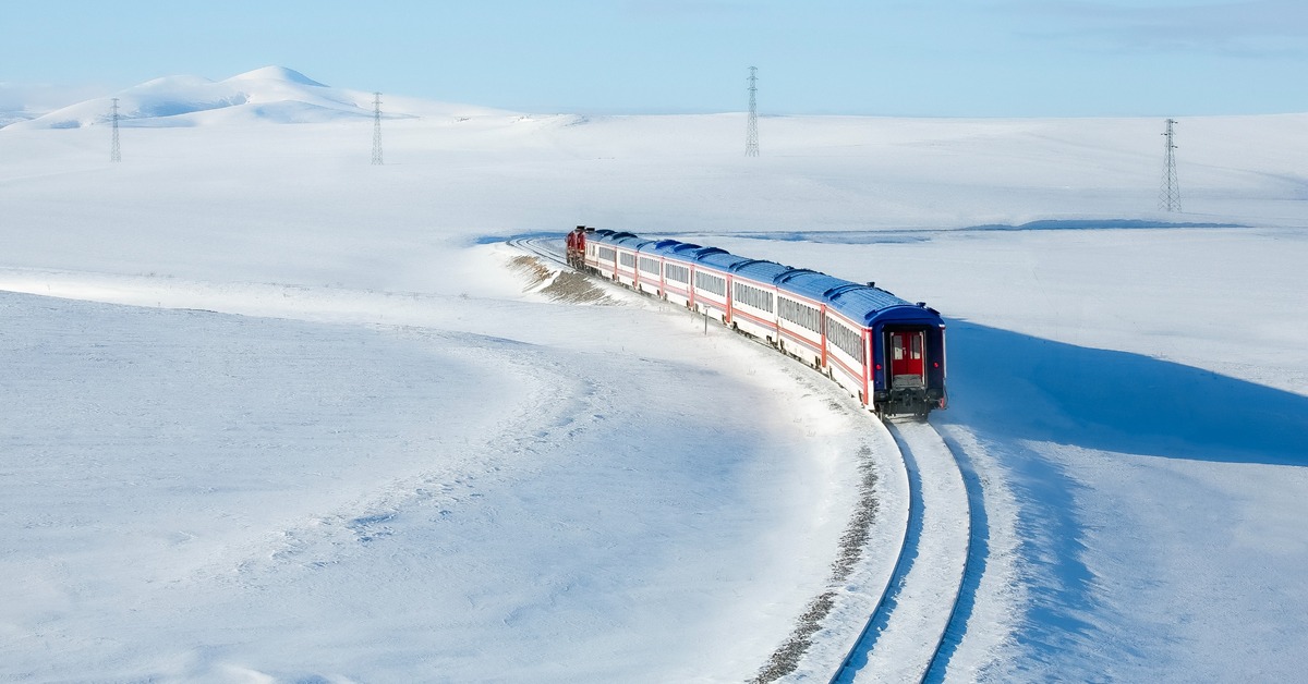 Salık KanTora - Gerçek Tektir