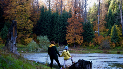 Düzce'de sarıdan kızıla büyüleyen manzara