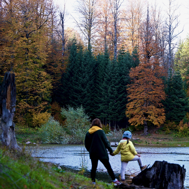 Düzce'de sarıdan kızıla büyüleyen manzara