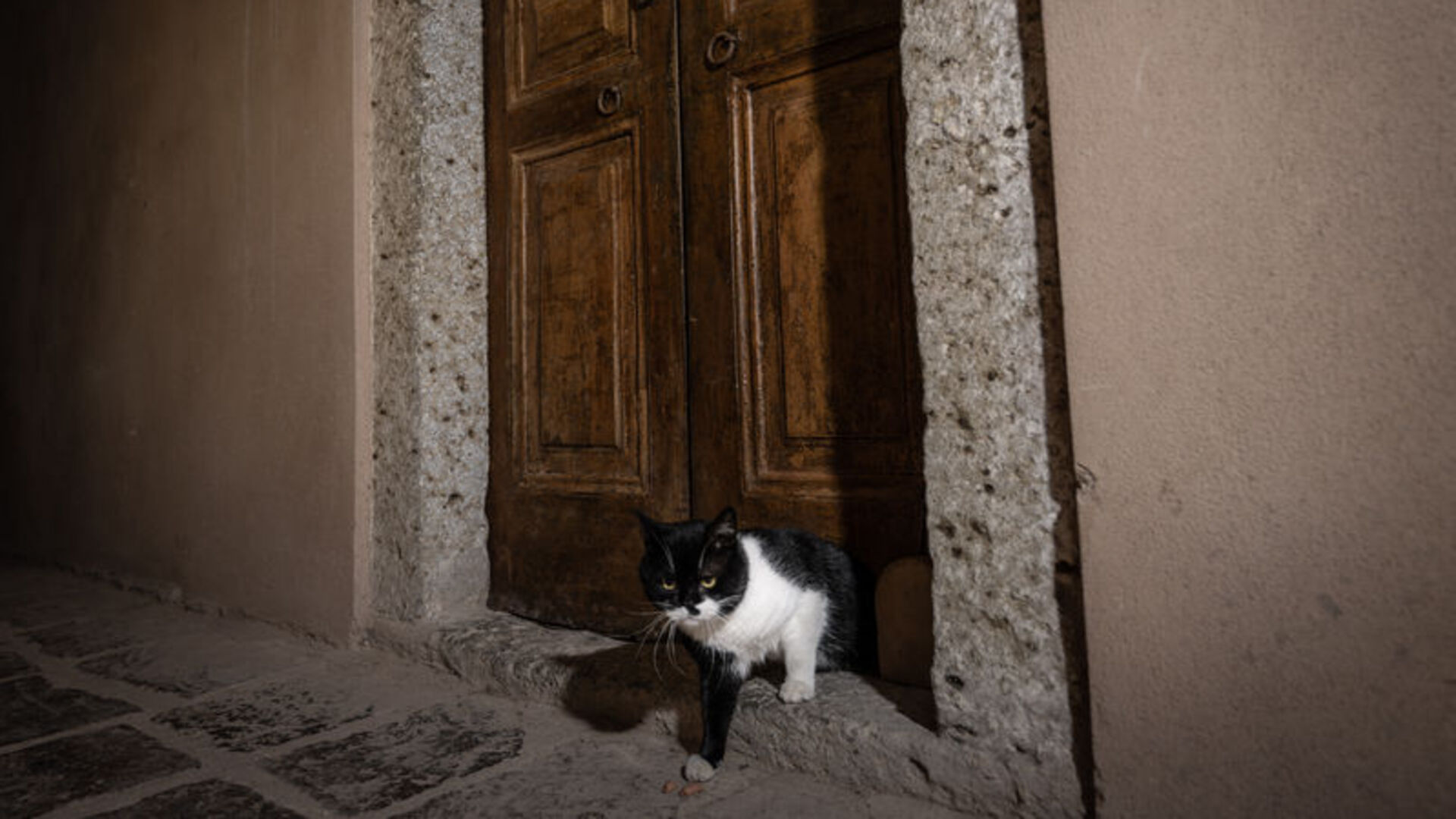 Topkapı Sarayı'nın kedi kapısı, Mülayim'in torunu …