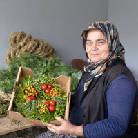 Burdur'dan Avrupa'ya 1 milyon Noel çelengi