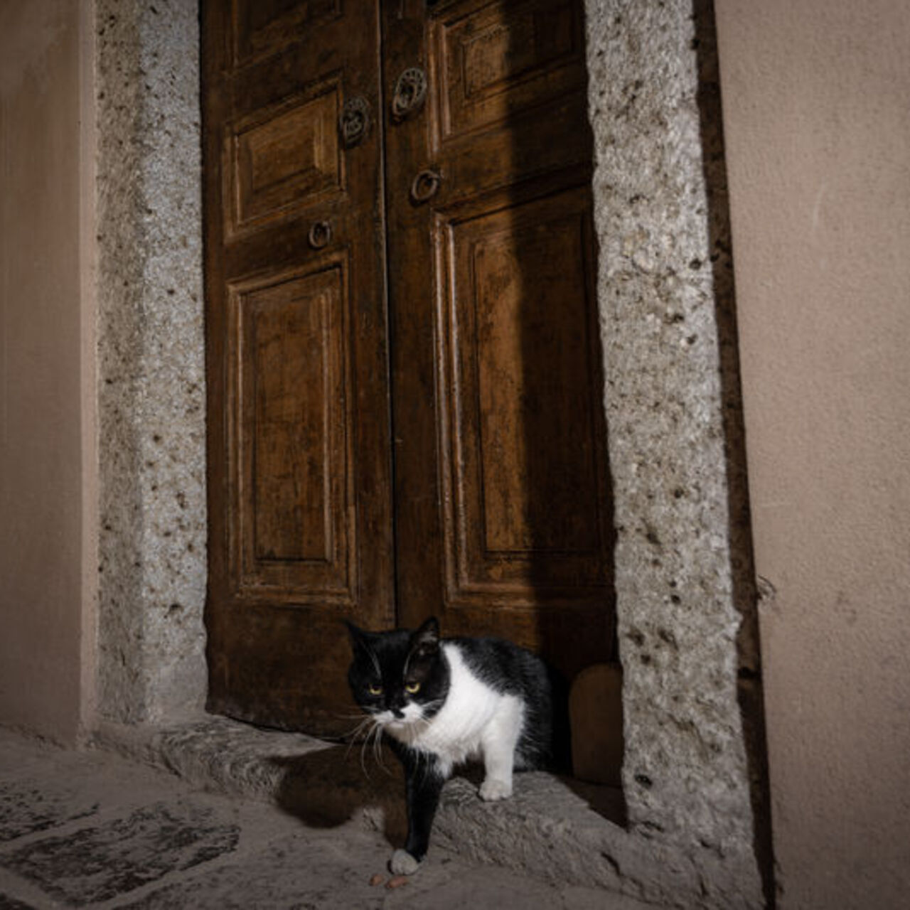 Topkapı Sarayı'nın gizli geçidi: Kedi kapısı