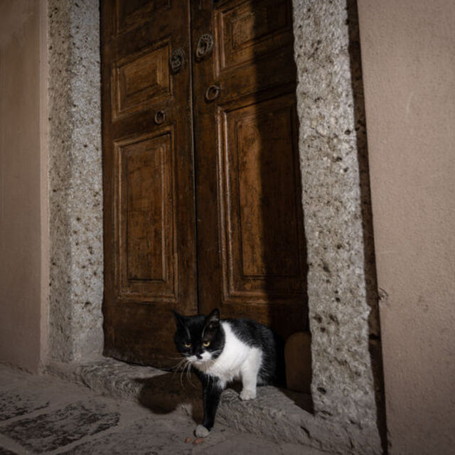 Topkapı Sarayı'nın gizli geçidi: Kedi kapısı