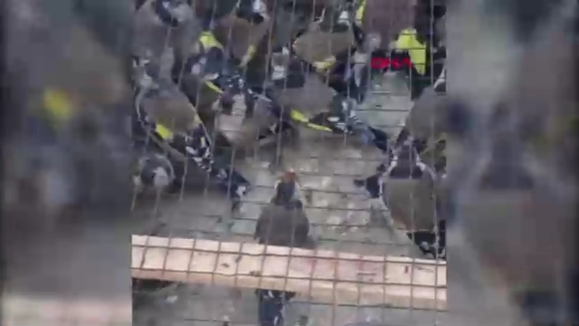 80 saka kuşu ele geçirildi: 655 bin TL ceza