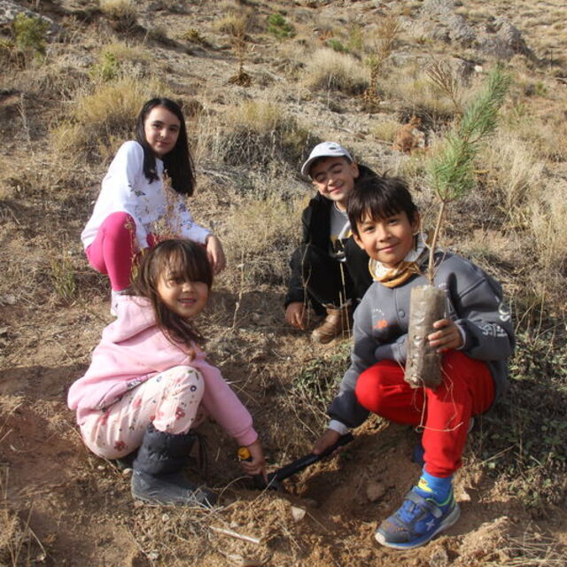 Zara'da 29 bin fidan toprakla buluşturuldu