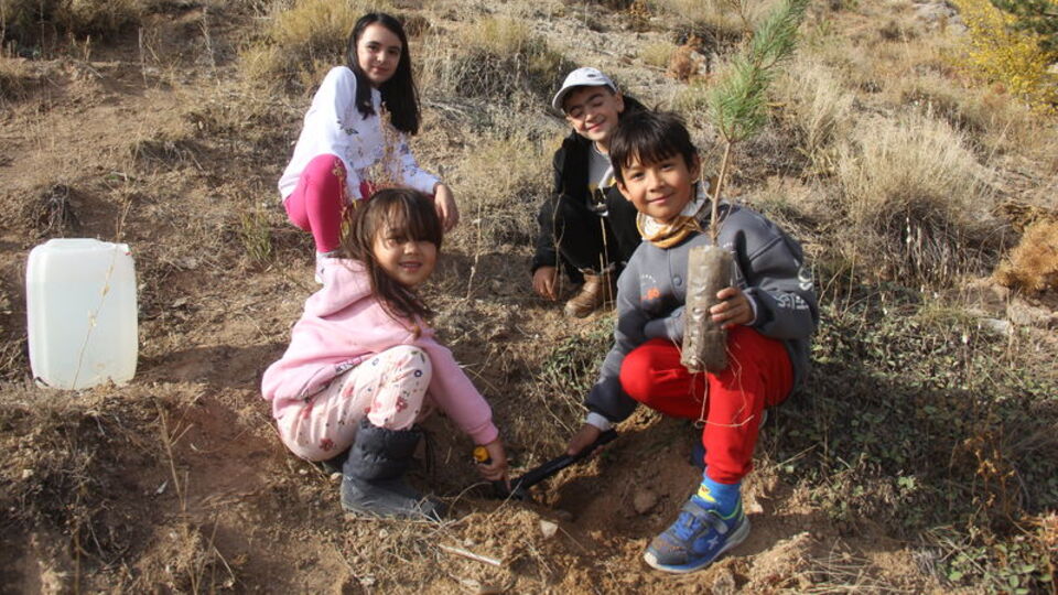 Zara'da 29 bin fidan toprakla buluşturuldu