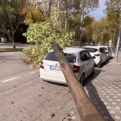 Bursa'da ağaçlar devrildi, çatılar uçtu!