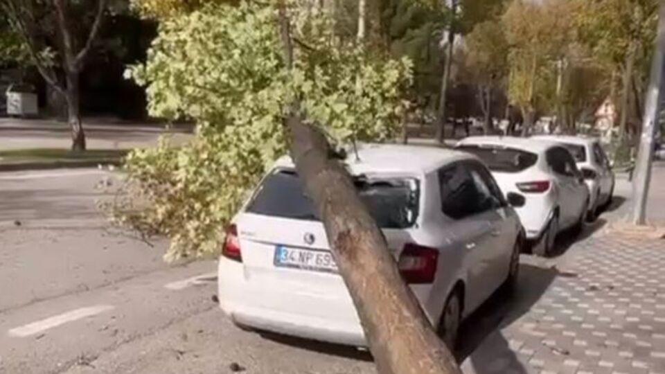 Bursa'da ağaçlar devrildi, çatılar uçtu!