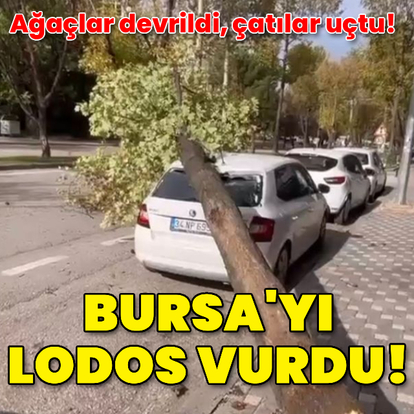 Bursa'da ağaçlar devrildi, çatılar uçtu!