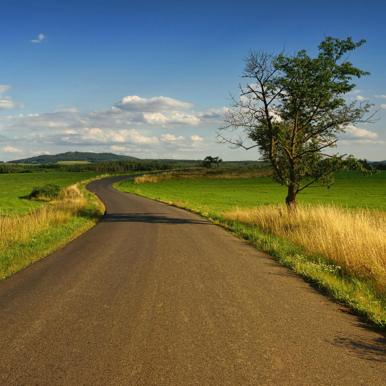 Avcılar - Çorlu kaç kilometre?  | Güncel Haber