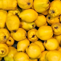 "Ayvayı yemek" nereden geliyor?