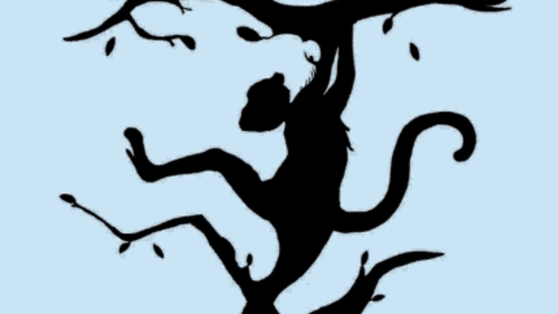 Beyninizin baskın tarafı hangisi bu test ile keşfedin! İlk gördüğünüz hayvan kişiliğinizi belirliyor