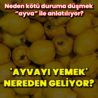 "Ayvayı yemek" nereden geliyor?