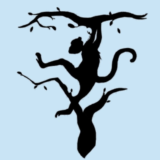 Kişilik testi: İlk hangi hayvanı gördünüz?