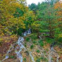 20 yıl önce kurudu! Depremle yeniden akmaya başladı