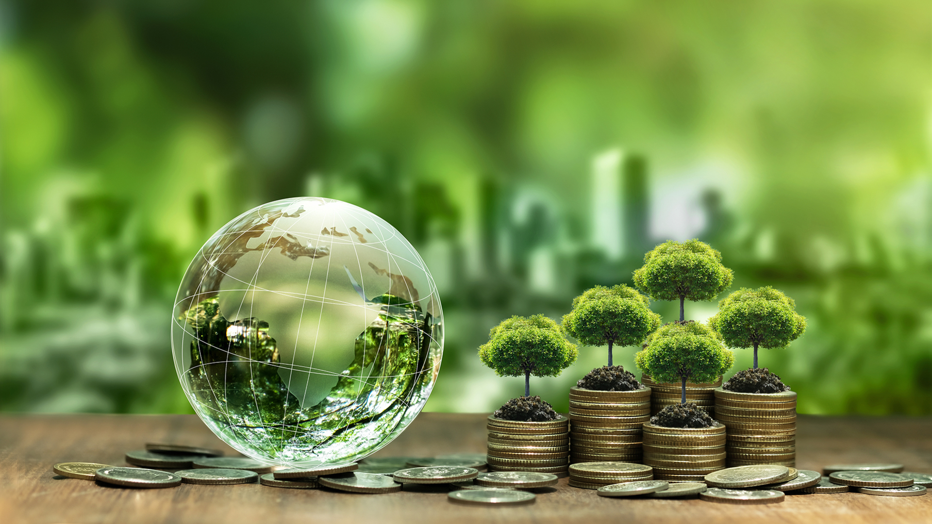 İklim Finansmanında Dev Açık: 310 Milyar Dolar Eşiği Aşıldı!