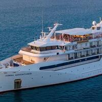 Yolcu gemisinin adada unuttuğu kadın ölü bulundu