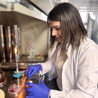 Gıdanın bozulduğunu renkle bildiren çalışma tescil aldı