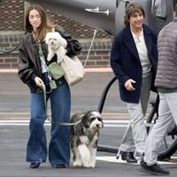 Uçmaktan yorulup ilişkiyi bitirdi