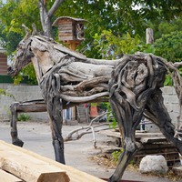 Doğanın atıklarını sanata dönüştürüyor