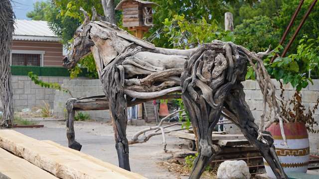 Doğanın atıklarını sanata dönüştürüyor