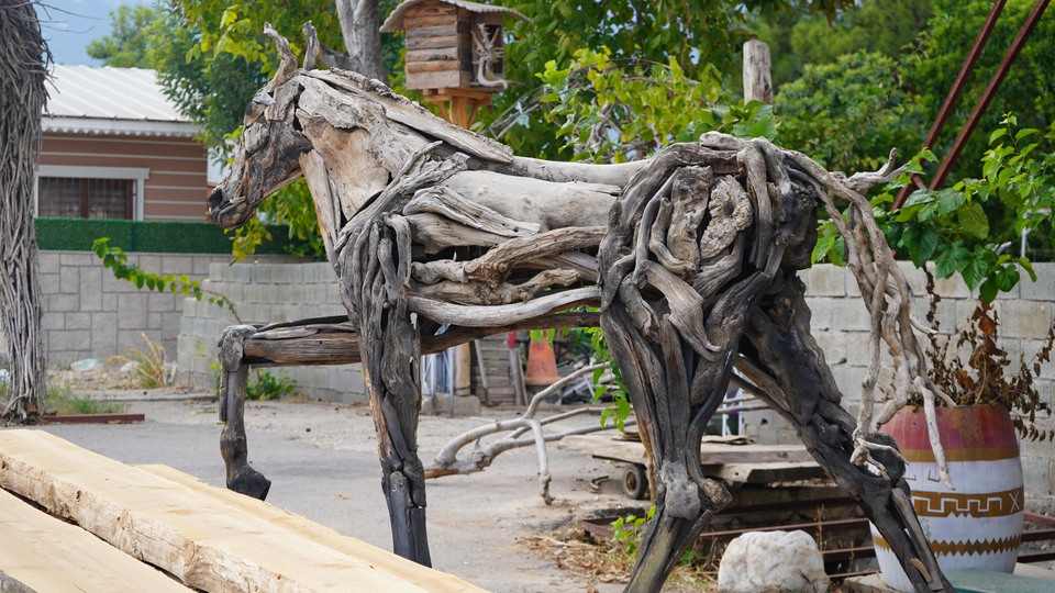 Doğanın atıklarını sanata dönüştürüyor