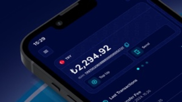 Ozan Elektronik Para'ya kayyum atandı