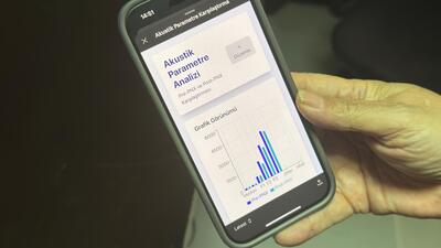 Akciğer sönmesinin erken tespiti amacıyla mobil uygulama geliştirildi