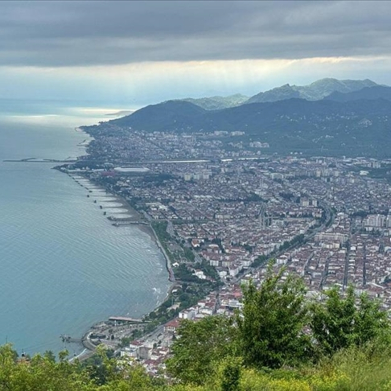 Ordu nerede? 