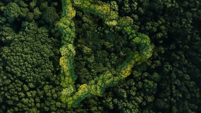 Yeşil Vatan Kısa Film Yarışması'nda son başvuru tarihi 30 Kasım